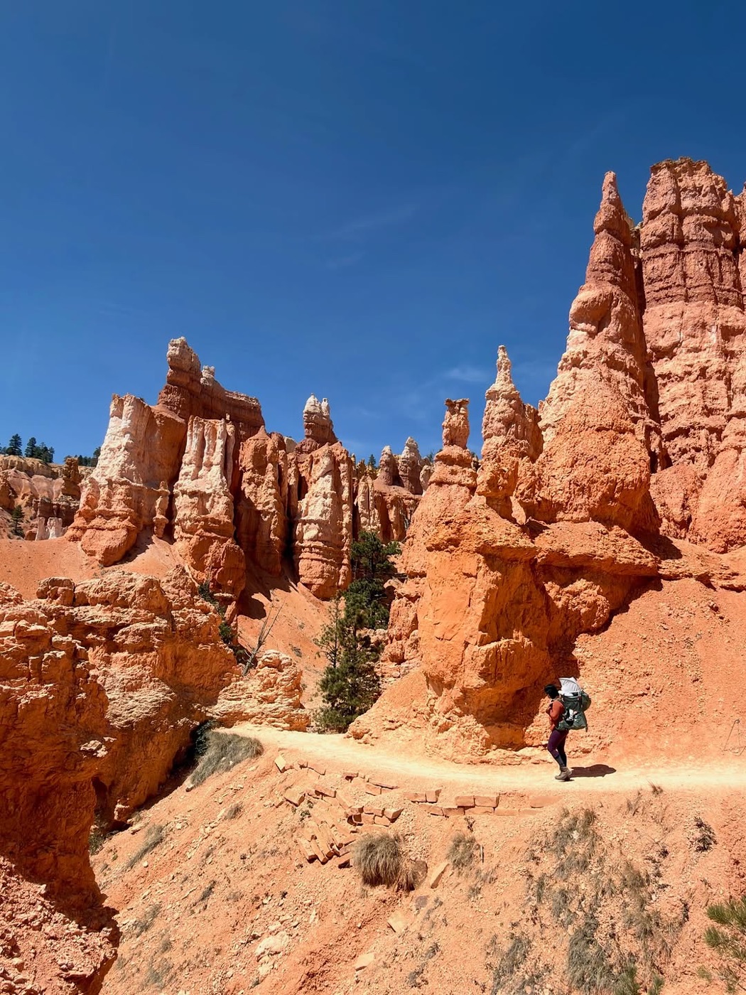 Hoodoos, Bryce Canyon