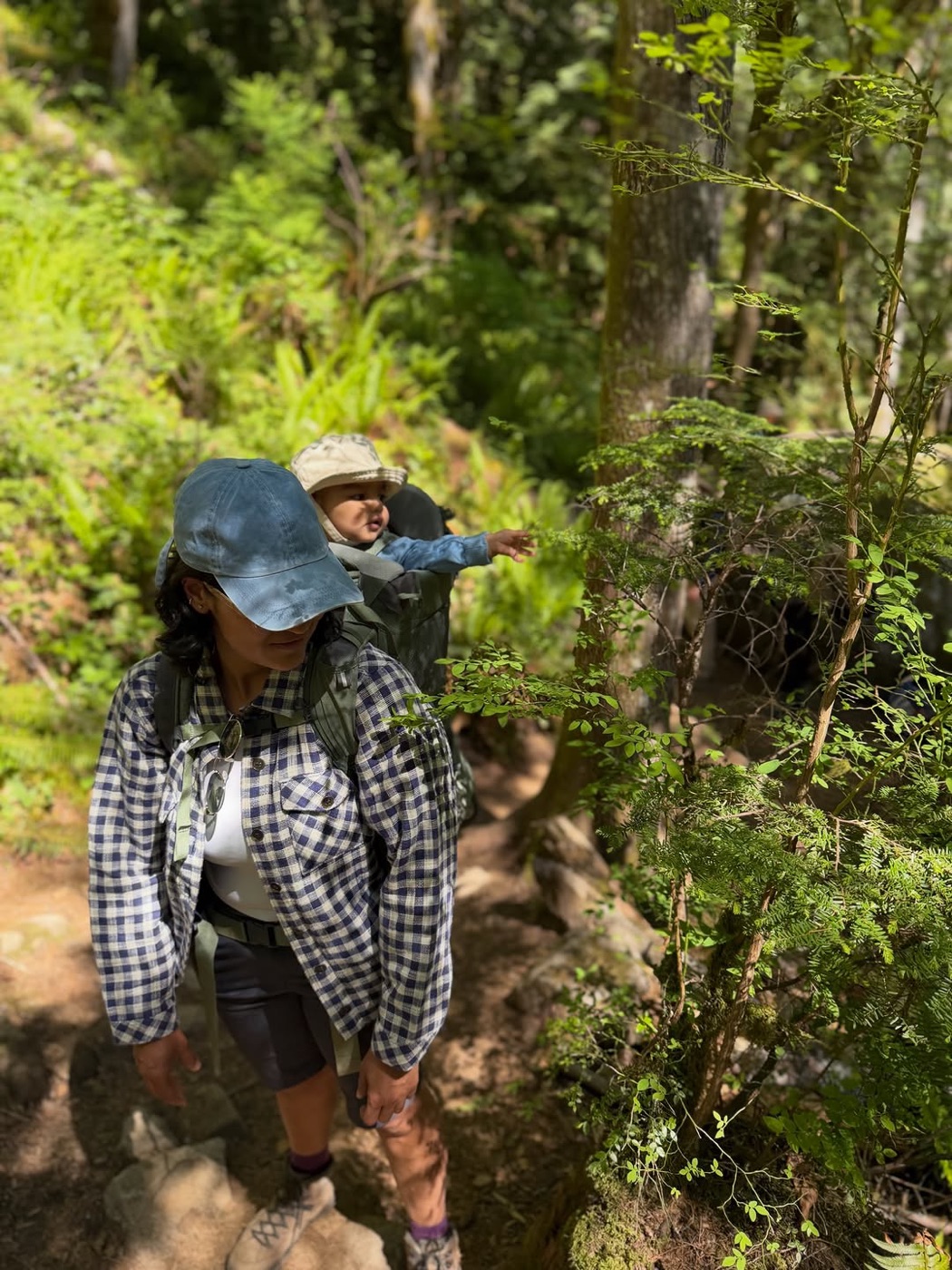 Summer trails, Mt. Baker Wilderness
